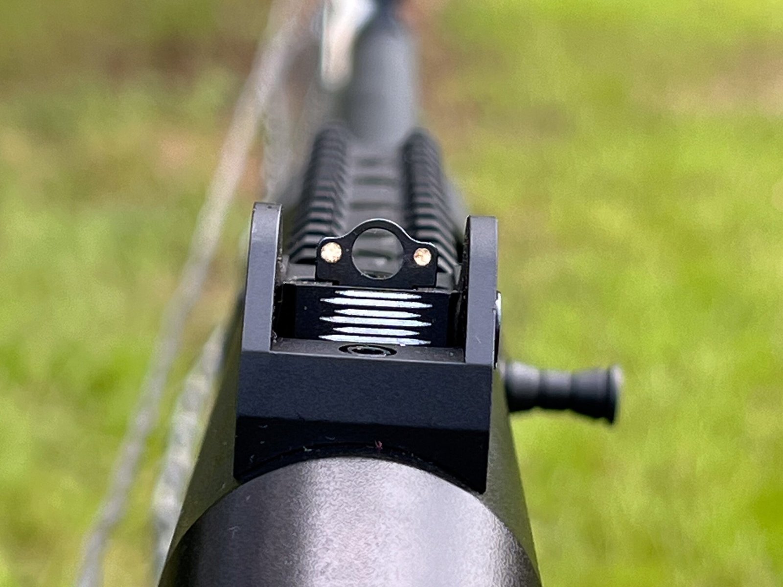 Rear ghost ring sights