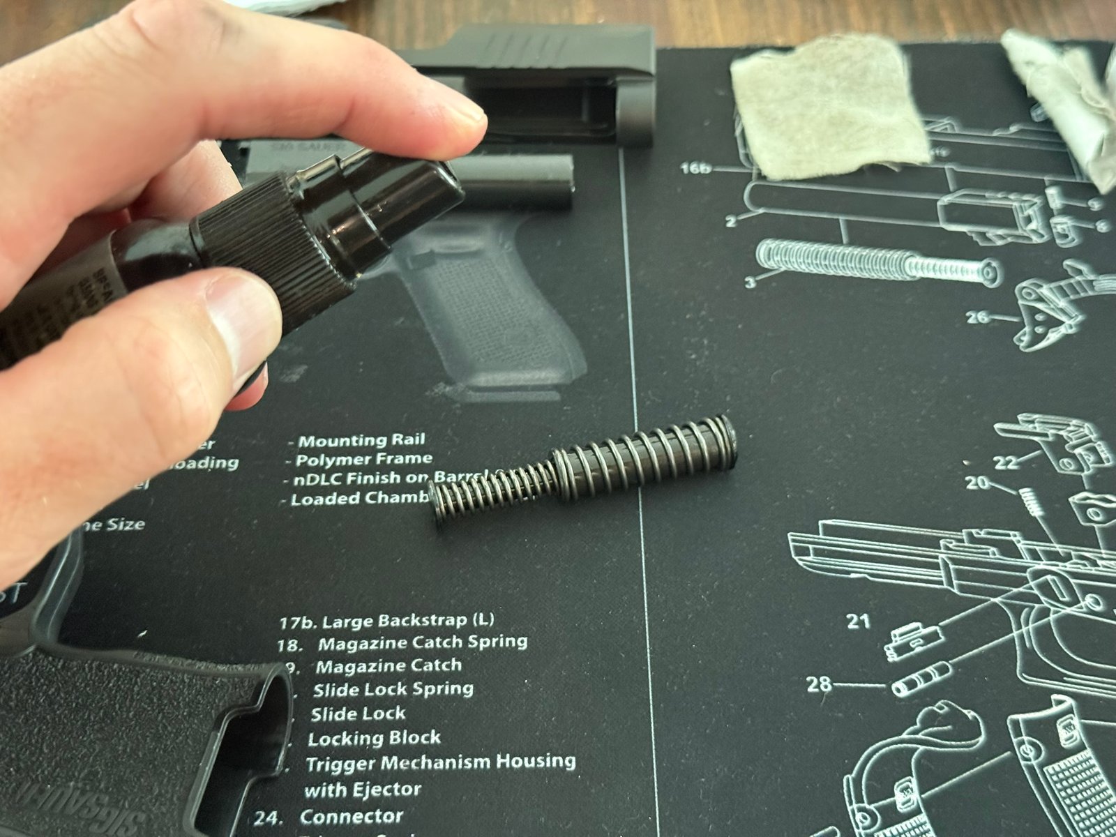 Praying the recoil spring with CLP