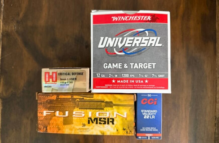 What Ammo Should I Buy? A New Gun Owner’s Guide to Range and Self-Defense Ammo