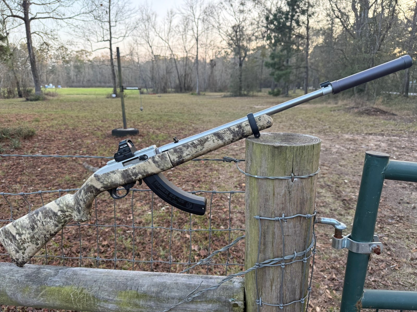 Ruger 1022 with Holosun 407C X2