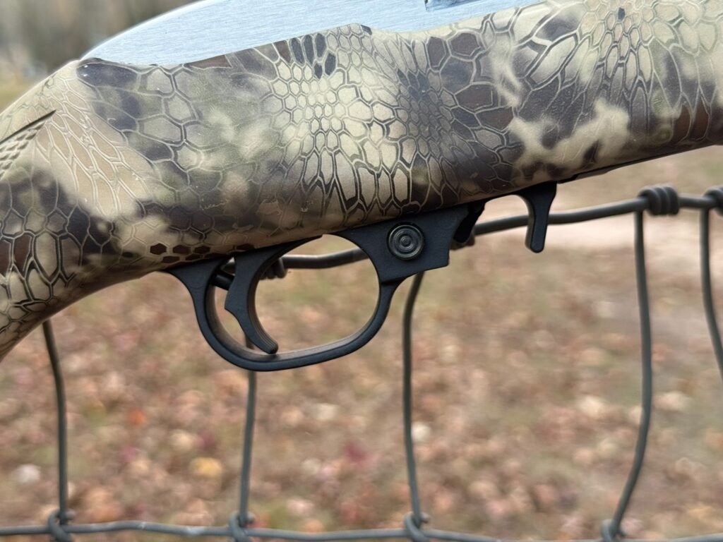 Trigger group and safety.